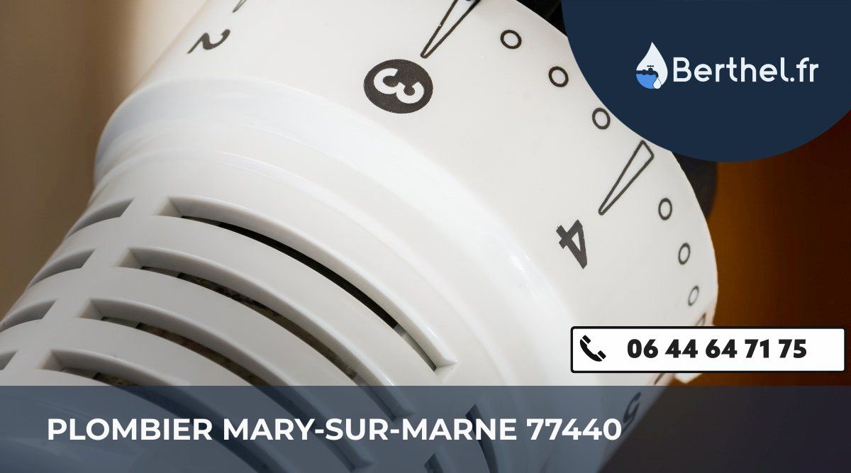 Dépannage plombier Mary-sur-Marne
