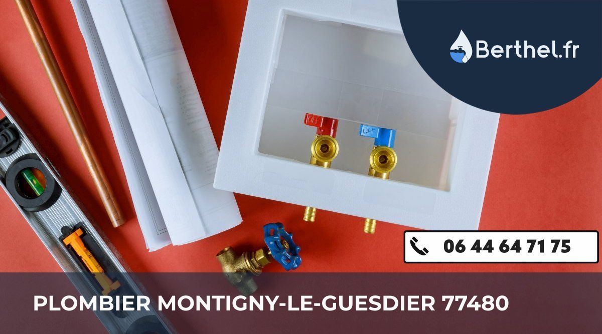 Dépannage plombier Montigny-le-Guesdier