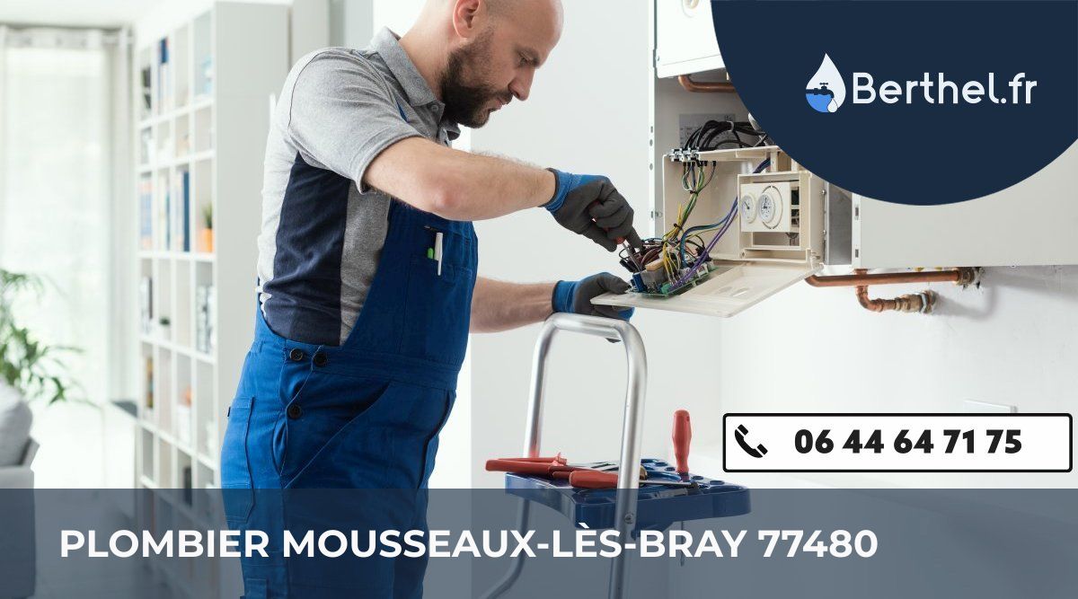 Dépannage plombier Mousseaux-lès-Bray